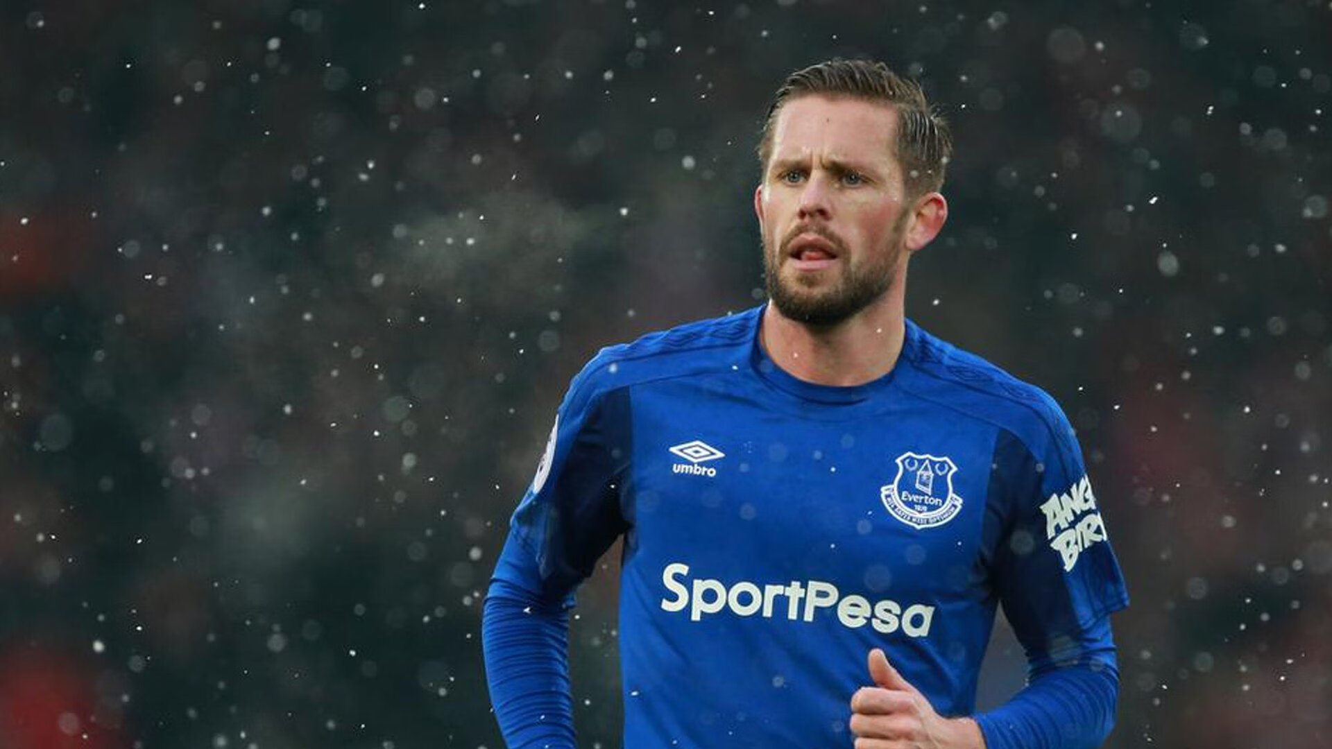 体育产业资本流动报告